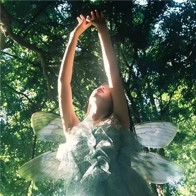 带着十个老婆发家致富